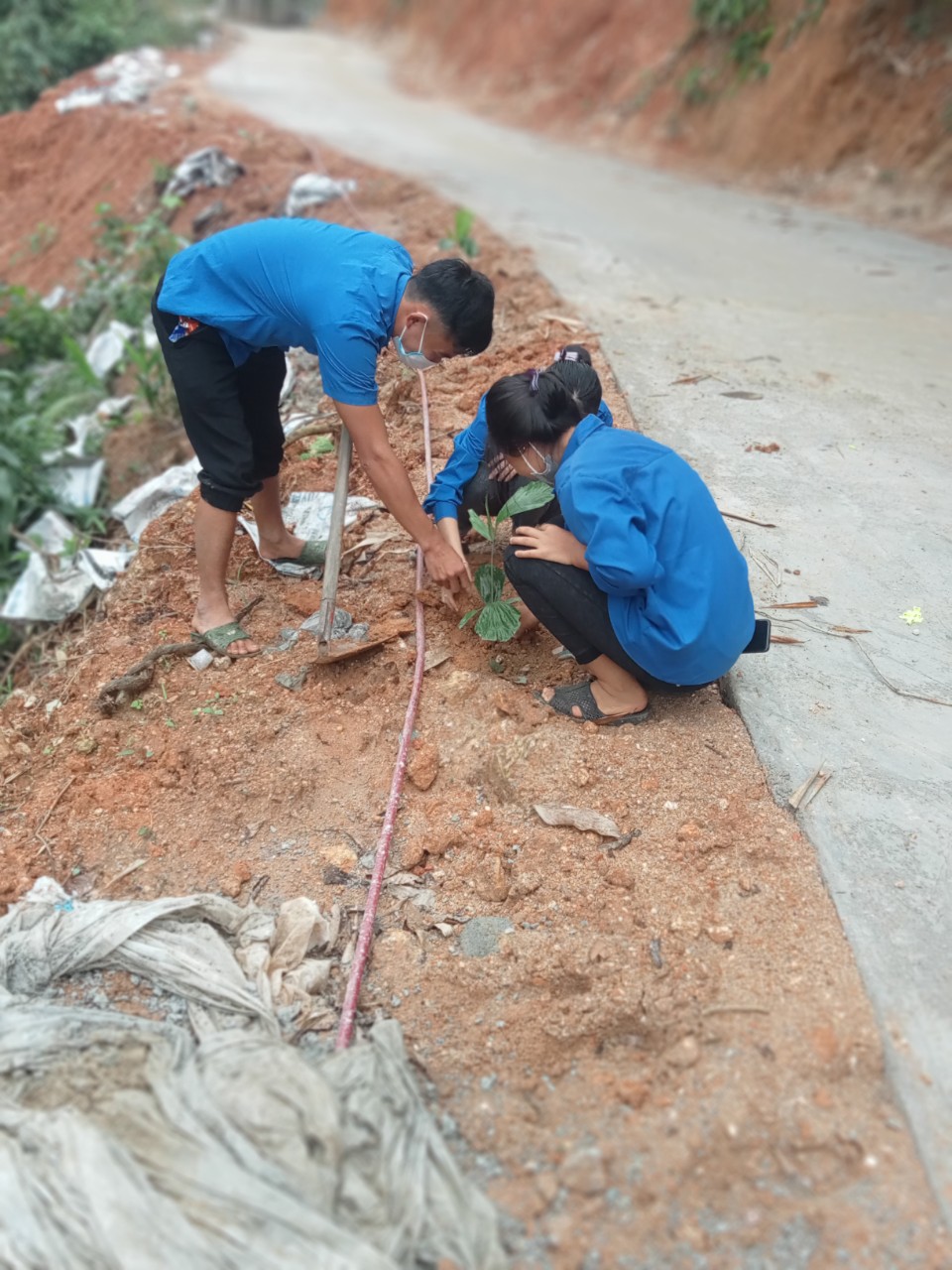 Đoàn thanh niên ra quân trồng cây cảnh quan tại thôn Tân Sơn
